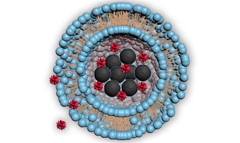  Magnetite Nanoparticles: Revolutionizing Medical Imaging and Targeted Drug Delivery!