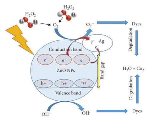 Zinc Oxide Nanoparticles: Revolutionizing Energy Storage and Photocatalysis Applications!